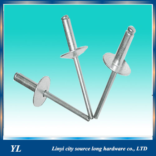 Rivet Step Bolt Round Head Bolt Stainless Steel Blind Rivet