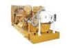 Economic natural gas power generator 50kva to 175kva With marathon alternator , ComAp control