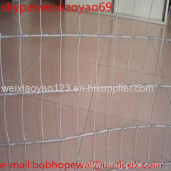 china manufacturer cow fence /cattle fence / grassland wire mesh