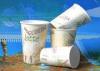 Personalized 10 Ounce Insulated Disposable Paper Coffee Cups / Mugs