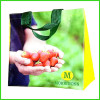 Good Quality Non Woven Bag