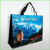 Eco-Friendly Non Woven Bag