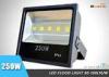 High Power 250W LED Flood Light Outdoor With 600W HPS/MH Bulbs Equiv