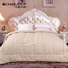 Natural Cotton Shell Camel Down Comforter Covers Durable Quilt For Home