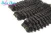 Grade 7A 10&quot; 12&quot; Eurasian Curly Hair Bundles Wet And Wavy Weave Human Hair