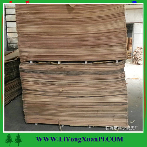 1270X2550MM economical and practical keruing/gurjan veneer for plywood and furniture in linyi