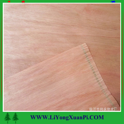 1270X2550MM economical and practical keruing/gurjan veneer for plywood and furniture in linyi