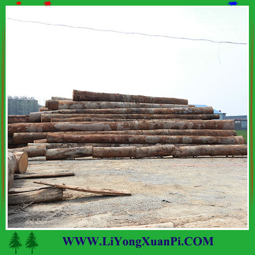 Linyi factory oak plywood veneer 