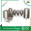 500L micro brewery system for hotel, bars and restaurant