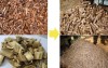 Tree Bark Pellet Mill/Wood Pellet Mill/Fote Wood Pellet Mill