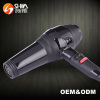 2400W AC Motor Low Noise Electric Handle Hair Dryer Professional Blow Dryer with excellent prices 220V