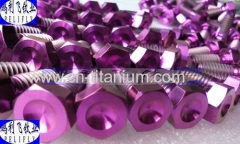 DIN933 Titanium hexagon head Screw purple color
