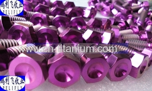 DIN933 Titanium hexagon head Screw purple color