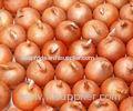 Multiple Chinese Fresh Onion Vegetables Non - peeled 20kg / Mesh Bag