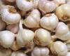 Thick Bright Skin Normal White Garlic 200g / 250g / 500g / 1000g / Net Bag