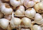 Spicy Fresh Pure White Garlic Organic Vegetable 20kg / Mesh Bag