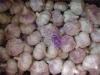 Healthy Pure White Garlic 500g * 20 Bags / Carton , 250g * 40 Bags