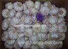 Chinese Lustrous Fresh Normal White Garlic 4.5 & Up , 10Kg / Mesh Bag