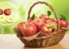 Sweet & Sour Chinese Fresh Red Rose Apple 20 Kg - 125 ,138 ,150 ,175 ,198 Pieces