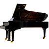 275cm 88 Key Upscale Luxurious Royal Conservatory Piano Solidwood AG-GP275