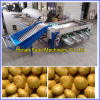 Garlic grading machine potato grading machine