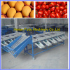 citrus grading machine orange sorting machine