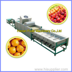 Navel orange cleaning polishing sorting machine