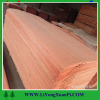 Linyi 1300x2500x0.2-0.5mm rotary cut gurjan veneer/natural wood veneer/keruing veneeer with competitive price