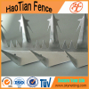 Anti-Climb Galvanized Wall Spikes Wire Mesh Fence