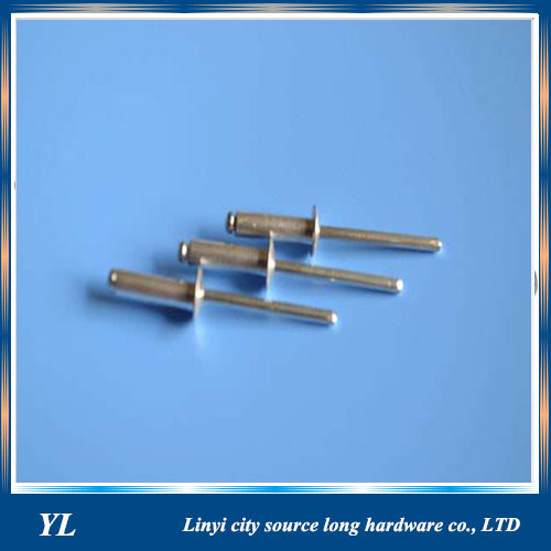 Stainless Steel Large Flange Head Blind Rivets