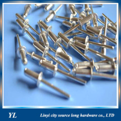 Excellent quality Open type blind rivet all steel large flange blind rivets