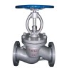 WCB Globe Valve Casting Parts