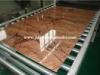 Plastics Extrusion Machinery for Faux Marble / Imitated Marble Board