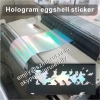 New Hologram Ultra Destructible Vinyl Eggshell Sticker Papers Eye-catching Reflective Holographic Eggshell Stic