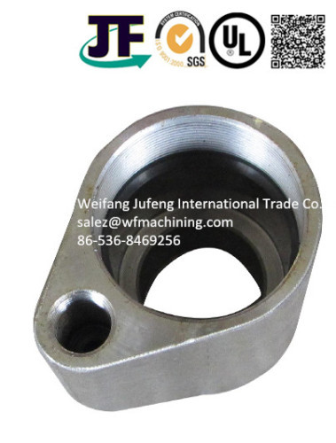 OEM Forged Iron Parts with Forging Process