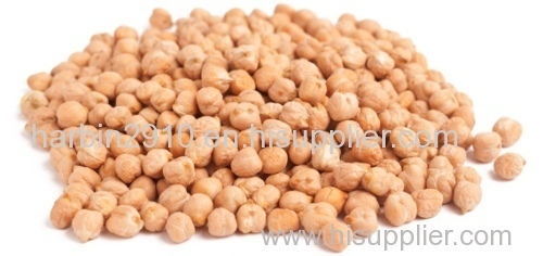 Grade A chickpeas for sale