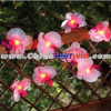 Solar Fairy String Lights Multi-color Blossom Lawn Garden Tree Christmas Pea - blossom