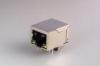 8P8C RJ45 With Transformer 10 / 100 , Registered Jack 45 21.6MM Single Port With Shield / LED
