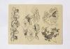 Lotus Flower Photos Practice Skin For Tattoo Artists Easy To Tattoo As The Liner