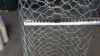 electro-Galvanized Hexagonal Chicken Wire Mesh