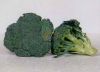 Egyptian fresh broccoli by fruit link