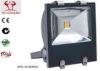 50W Aluminum Industrial LED Flood Lights 230V 60Hz Waterproof for Outdoor Lighting