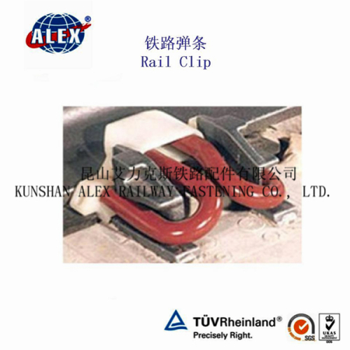 Plain Fast Rail Clip High Quality/DIN Plain Fast Rail Clip Made In China/Railroad Fastener Supplier Plain Fast Rail Clip