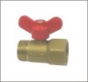 Brass Mini Ball Valve Surface Raw