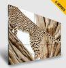 Samsung Industrial Panel 46&quot; 6.7mm Narrow Bezel Video Wall For Shopping Mall