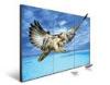 New arrival 49inch 3.5mm bezel seamless original LG panel video wall lcd