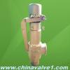 Copper Spring loaded low lift type safety valve