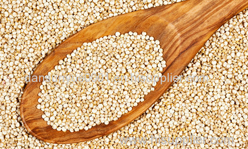 Quinoa and oats wholesale prices oat price for sale