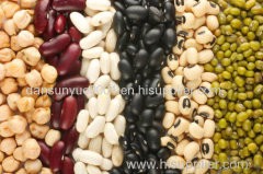 White Kidney Bean sugar beanl Broad Bean Light Speckled Kidney Beans red kidney beans