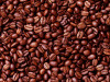 Arabica and Robusta Coffee Bean 2015 Good quality